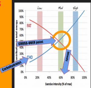 11 minute mile meal planning