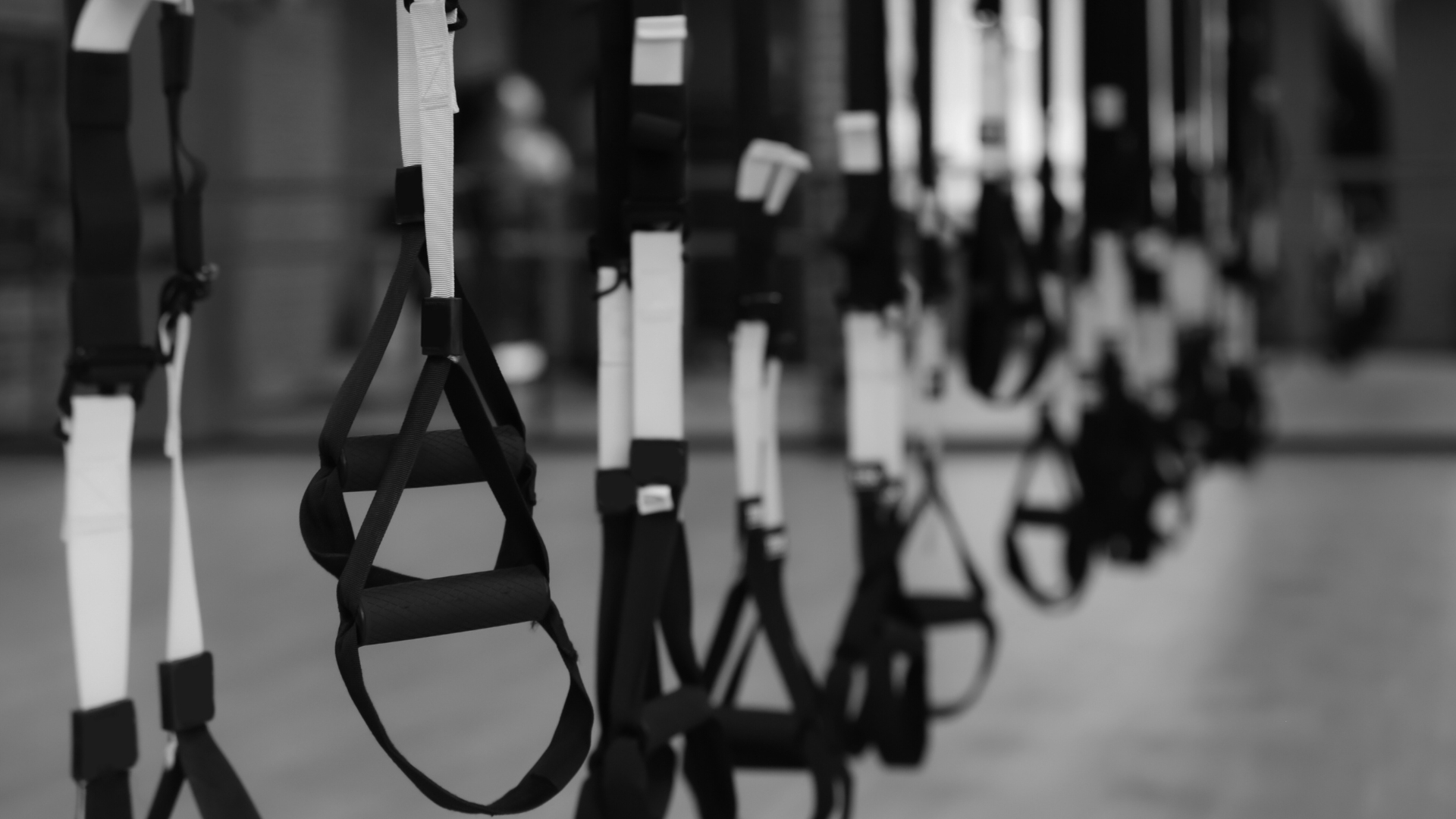 A row of TRX suspension trainers hanging in a gym, ready for use.