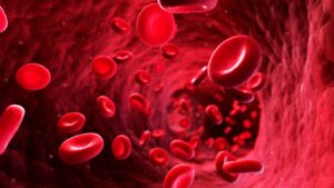 A visualization of how nicotine restricts blood flow, reducing oxygen delivery to muscles, impairing endurance, and increasing cardiovascular strain.