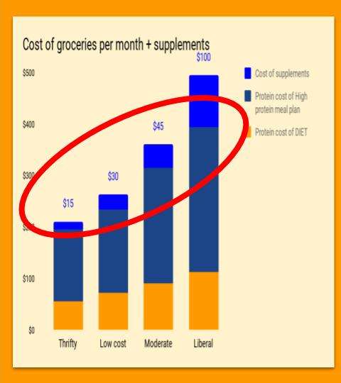 cost of groceries plus protein per month