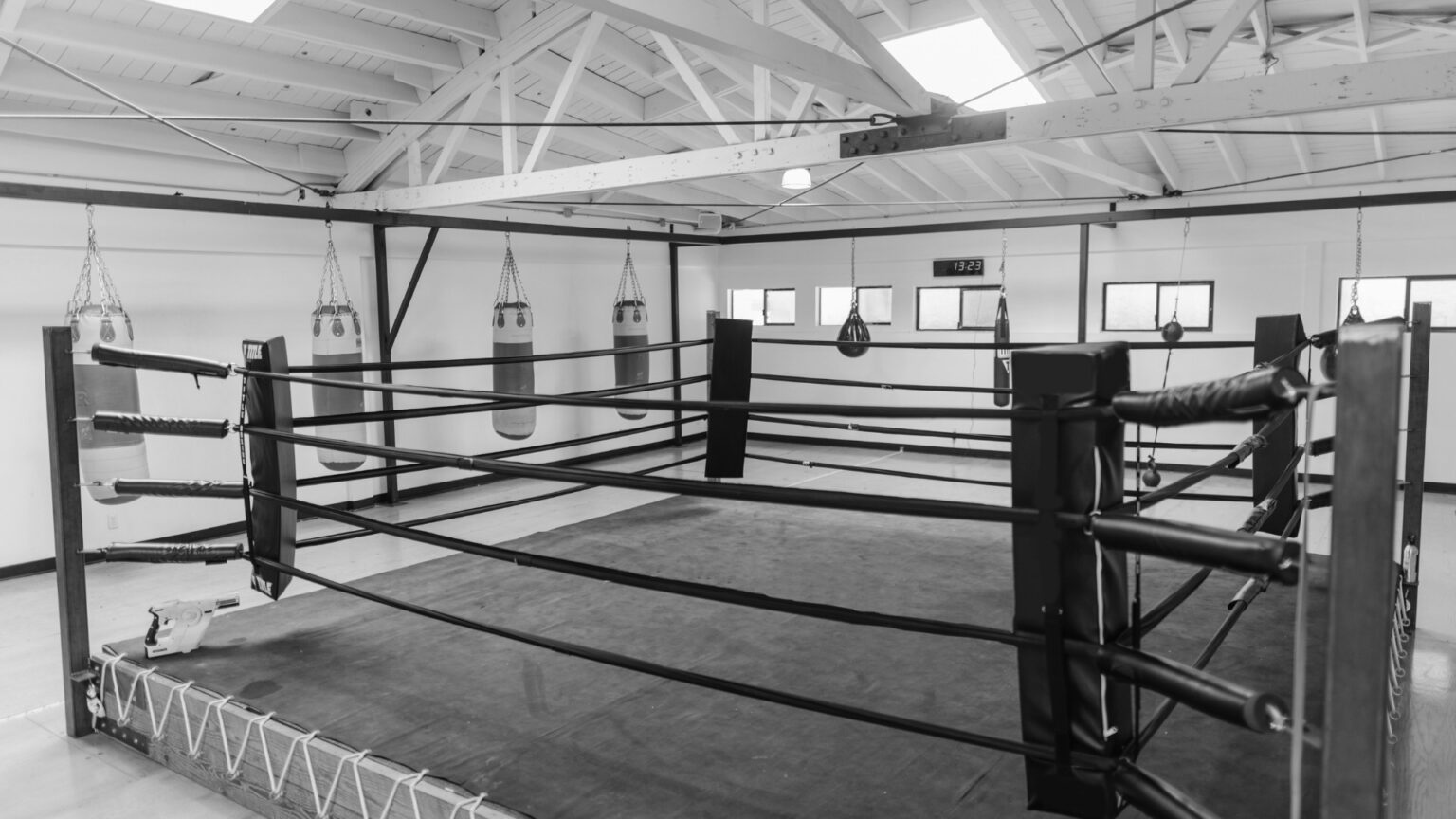 A classic boxing gym with heavy bags, a speed bag, and a boxing ring in the center.