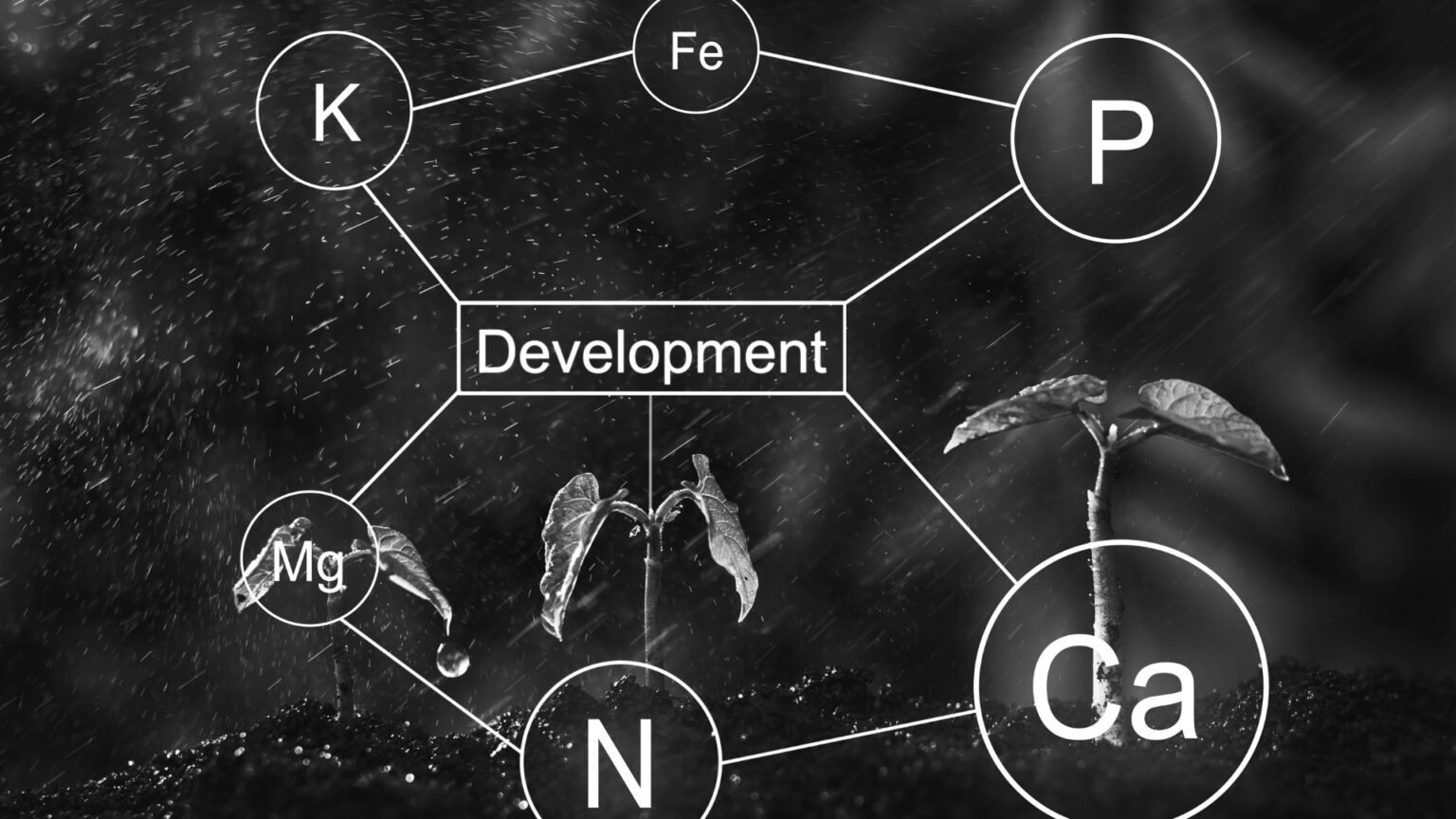 Scientific illustration showing macronutrients (protein, carbs, fats) and their role in human development.